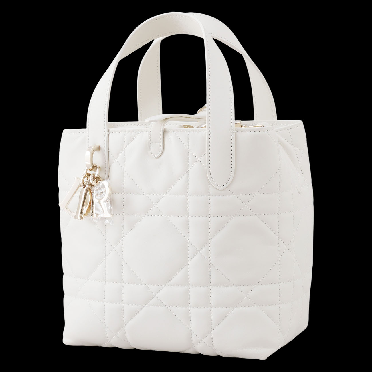 CHRISTIAN DIOR(USED)디올 뚜주흐 버티컬 토트백 스몰